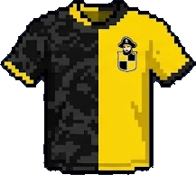 Camiseta de Coquimbo