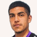 N. Araya
