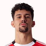 Tomás Araújo