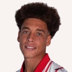 A. Witsel