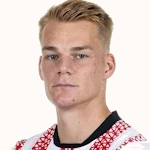 P. Lienhart