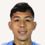 Felipe Andrés Faúndez González